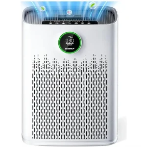 Air Purifier for Large Room